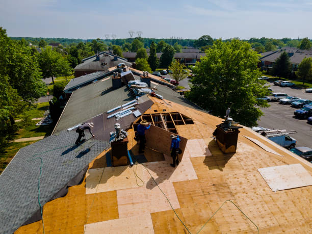 Best Commercial Roofing Services  in Peebles, OH