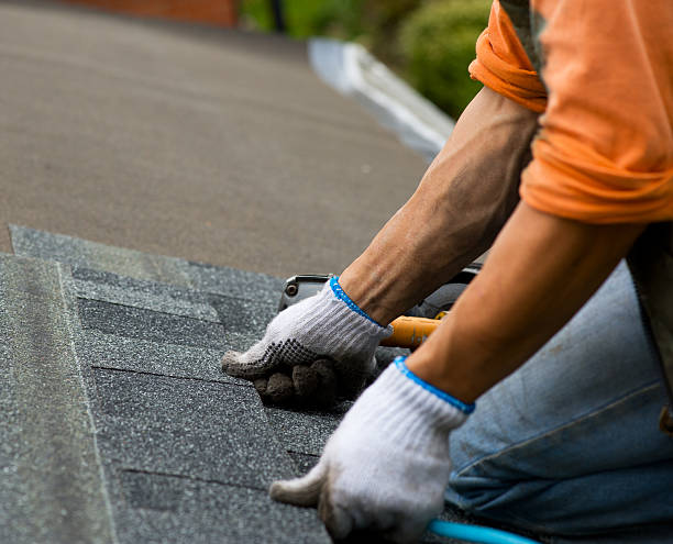Best Metal Roofing Contractor  in Peebles, OH